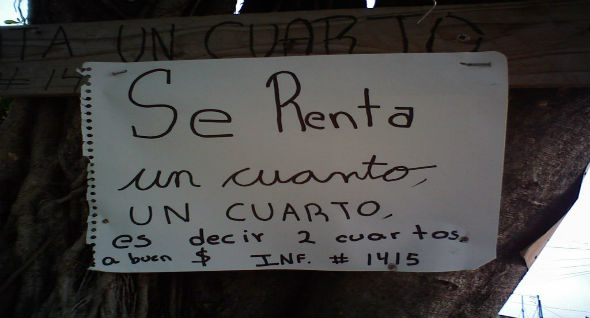 Extiende tus búsquedas