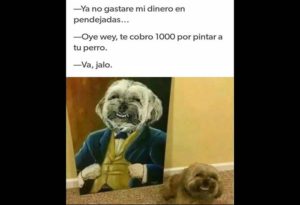 ya no gastaré
