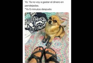 no voy a gastar