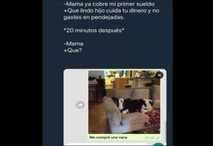 compré una vaca