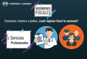 servicios profesionales